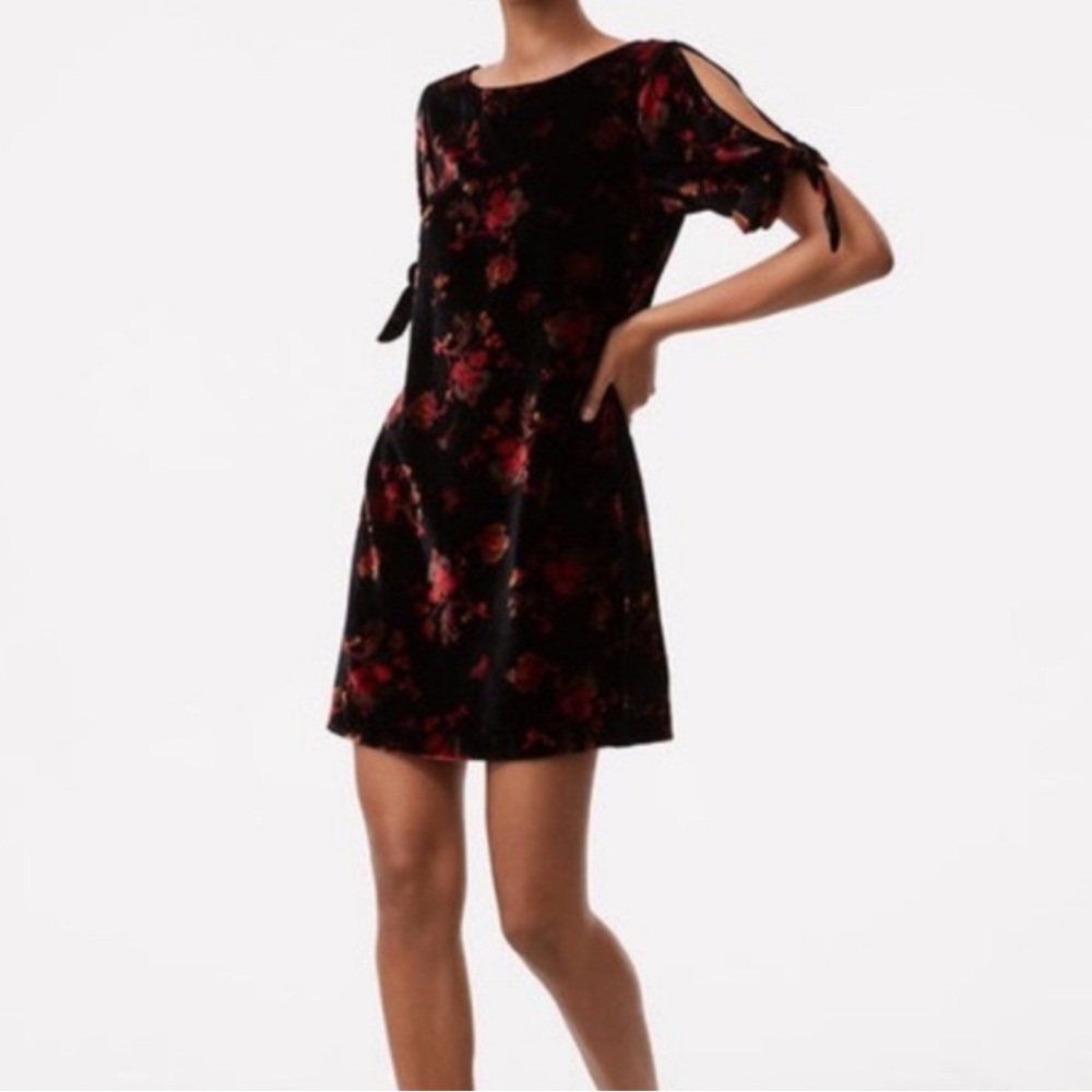 LOFT Holiday Velvet Floral Dress